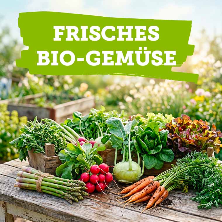 Bio-Gemüse kaufen