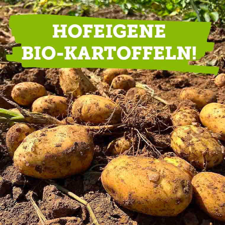 Köstliche hofeigene Bio-Kartoffeln vom Bioland-Hof Schürdt kaufen