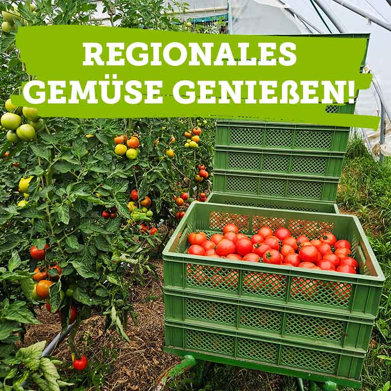 Regionales Biogemüse kaufen und genießen