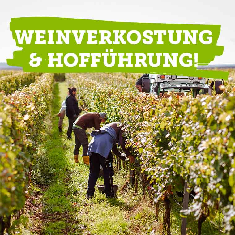 Weinverkostung und Hofführung