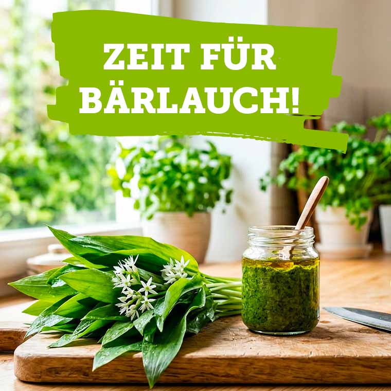 Zeit für Bärlauch!