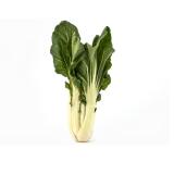 Pak Choy