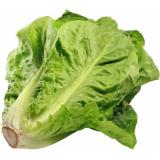 Salat Romana
