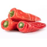 Retter-Paprika spitz