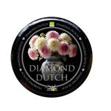 Diamond Dutch 1,5 Jahre
