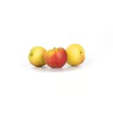 Apfel Freya süß-säuerlich