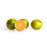 Satsuma