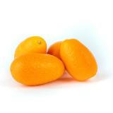 Kumquat