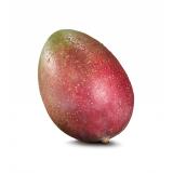 Mango Osteen