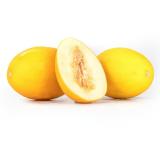 Honigmelone Canari