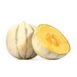Melone Cantaloupe