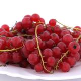 Johannisbeeren