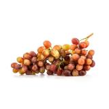 Traube rot kernlos Crimson