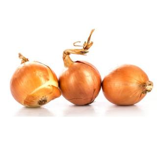 Gemüsezwiebel