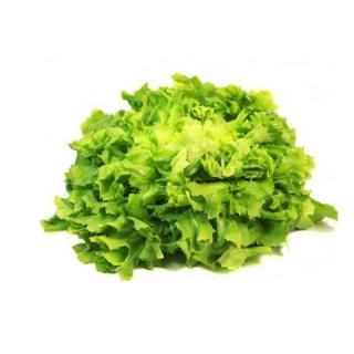Endiviensalat