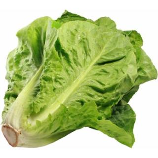 Salatherzen Romana