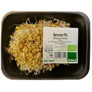 Sprossen-Mix