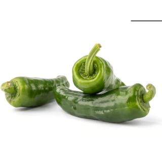 Bratpaprika Pimiento de Padron lose