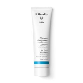 MED Shampoo Mittagsblume