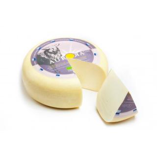 Schafgouda jung, SB vakuum