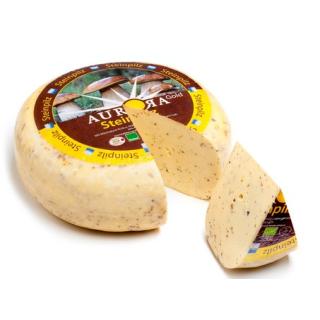 Steinpilz Aurora Gold