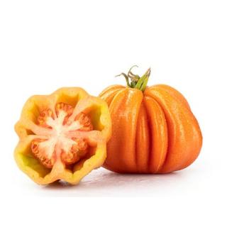 Tomaten Ochsenherz