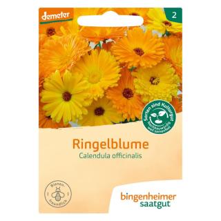 Ringelblume / Calendula