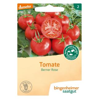 Fleischtomate Berner Rose