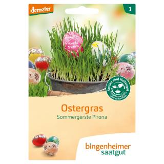 Ostergras- Sommergerste demeter 1 Stk