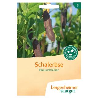 Erbse, Schalerbse blau
