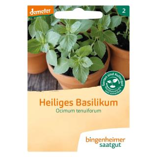 Heiliges Basilikum