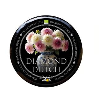 Diamond Dutch 1,5 Jahre