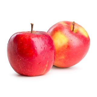 Apfel Holsteiner Cox