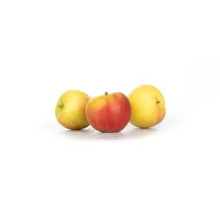 Apfel Sansa - Neue Ernte