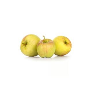 Apfel Delbar