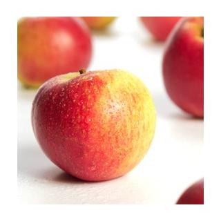 Apfel Santana