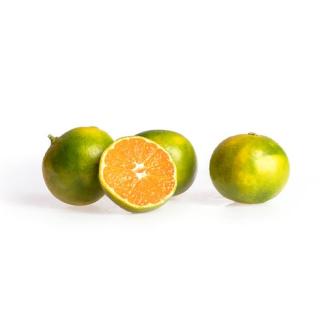 Satsuma