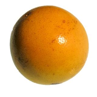 Grapefruit Star Ruby