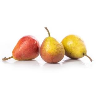 Birne Guyot