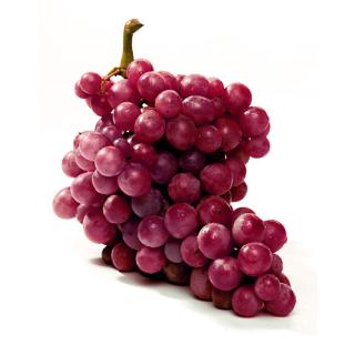 Trauben rot Rosa Crimson