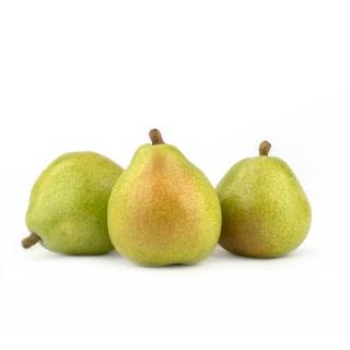 Birne D`Anjou