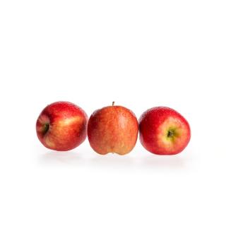 Apfel Sissired, Neue Ernte