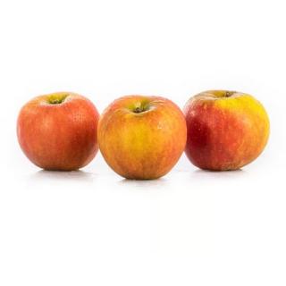 Apfel Elise- allergenarm