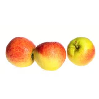 Apfel Zonga neue Ernte