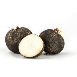 Rettich schwarz