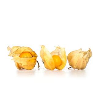 Physalis (Kapstachelbeere)