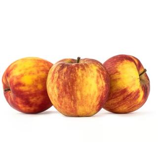 Apfel Jonagored (groß)