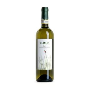 Gavi weiß
