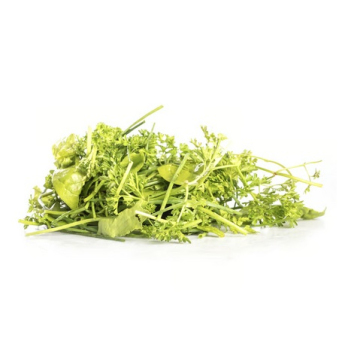 Grüne Soße  Kräuter
