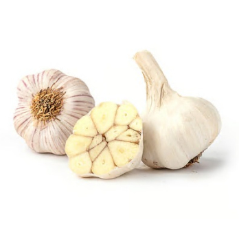 Knoblauch trocken